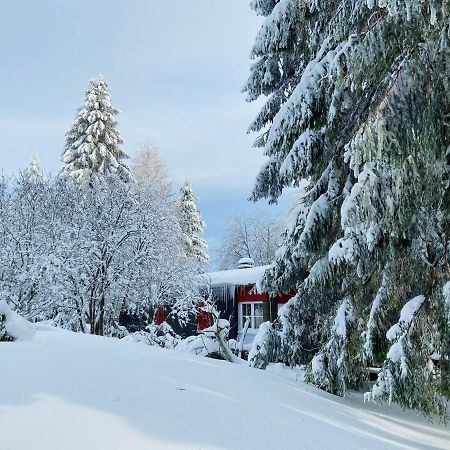 Baude Steinheid Am Rennsteig Mit 12 Betten Екстериор снимка
