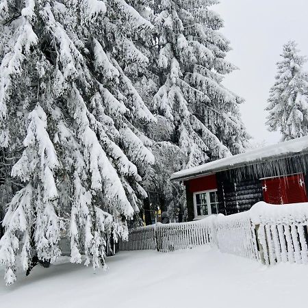 Baude Steinheid Am Rennsteig Mit 12 Betten Екстериор снимка